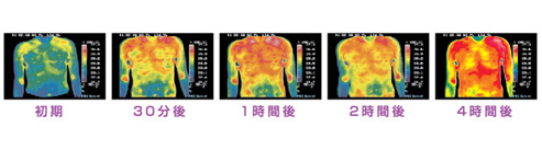 ファイヤーベルト42℃カプサイシンによる体温の変化