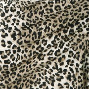 leopard-001