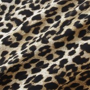 leopard-001