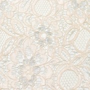 ベージュレース/（kkf8575s） Beige Lace